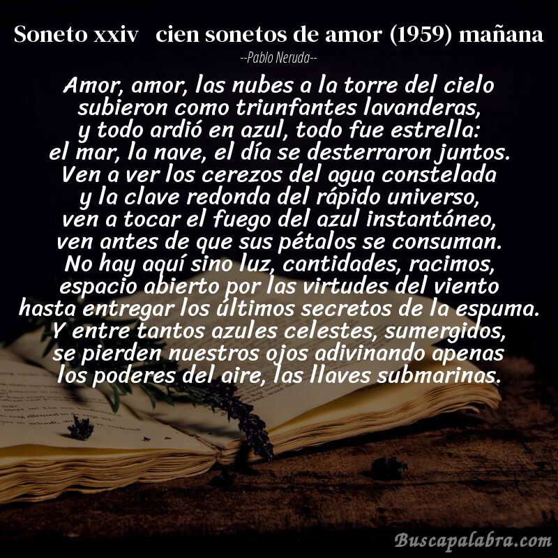 Poema soneto xxiv   cien sonetos de amor (1959) mañana de Pablo Neruda con fondo de libro