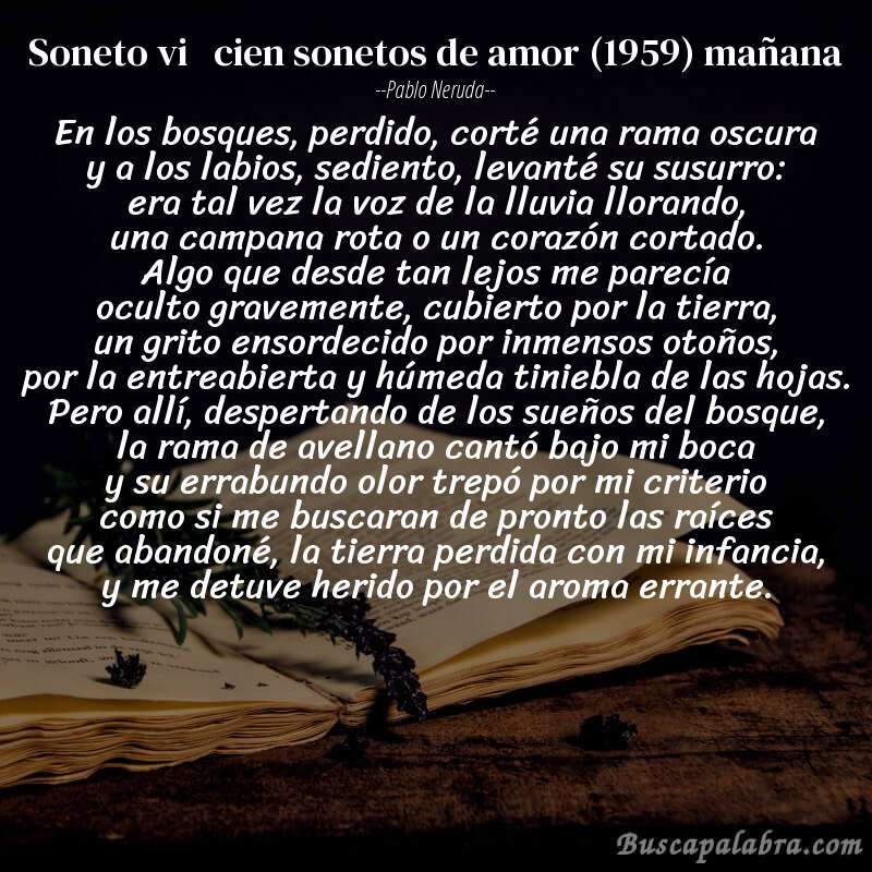Poema soneto vi   cien sonetos de amor (1959) mañana de Pablo Neruda con fondo de libro