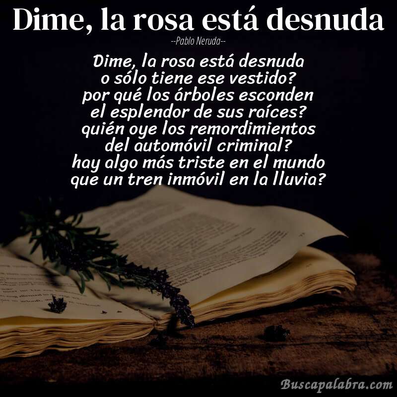 Poema dime, la rosa está desnuda de Pablo Neruda con fondo de libro
