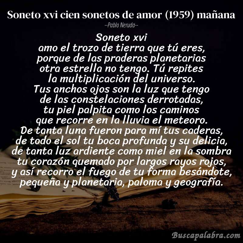 Poema soneto xvi cien sonetos de amor (1959) mañana de Pablo Neruda con fondo de libro