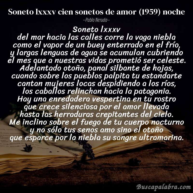Poema soneto lxxxv cien sonetos de amor (1959) noche de Pablo Neruda con fondo de libro