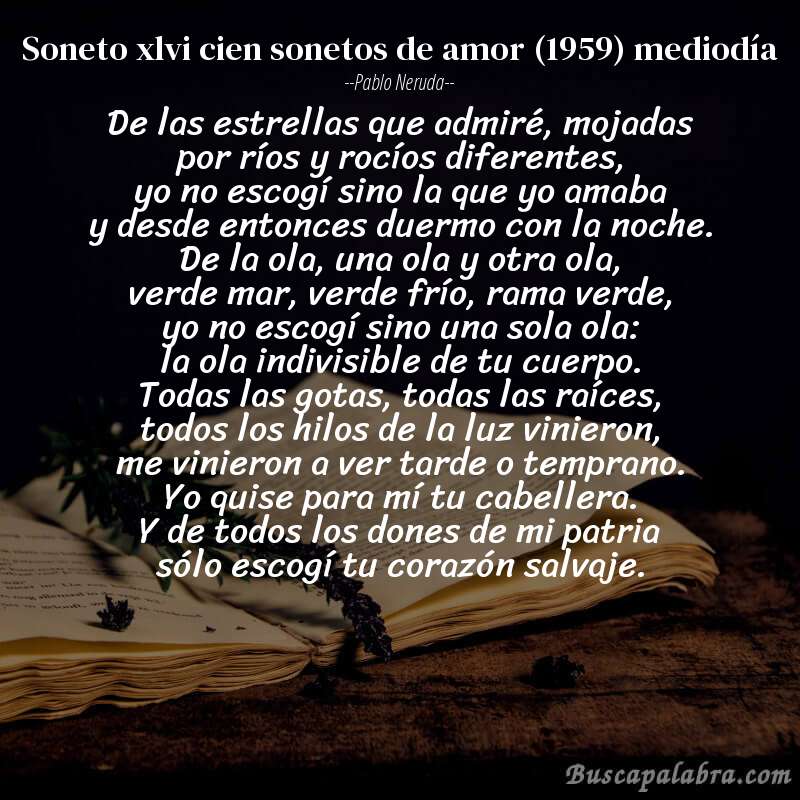 Poema soneto xlvi cien sonetos de amor (1959) mediodía de Pablo Neruda con fondo de libro