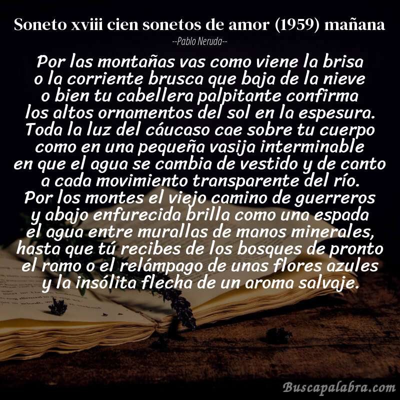 Poema soneto xviii cien sonetos de amor (1959) mañana de Pablo Neruda con fondo de libro