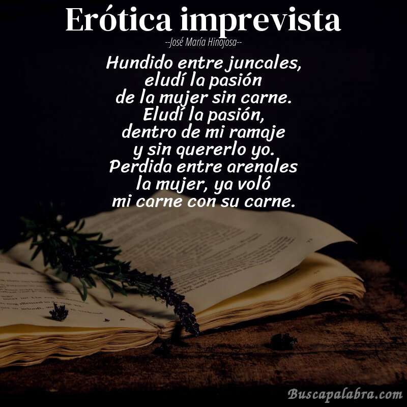Poema erótica imprevista de José María Hinojosa con fondo de libro