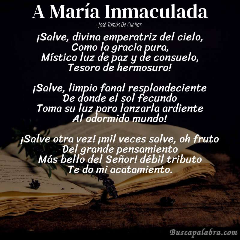 Poema A María Inmaculada de José Tomás de Cuellar con fondo de libro