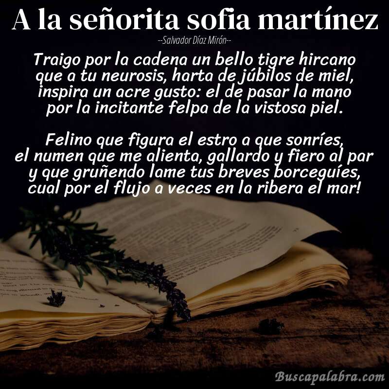 Poema a la señorita sofia martínez de Salvador Díaz Mirón con fondo de libro