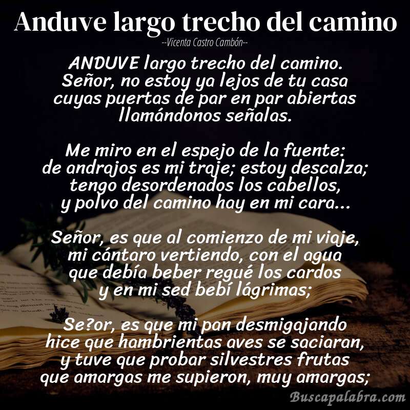 Poema Anduve largo trecho del camino de Vicenta Castro Cambón con fondo de libro