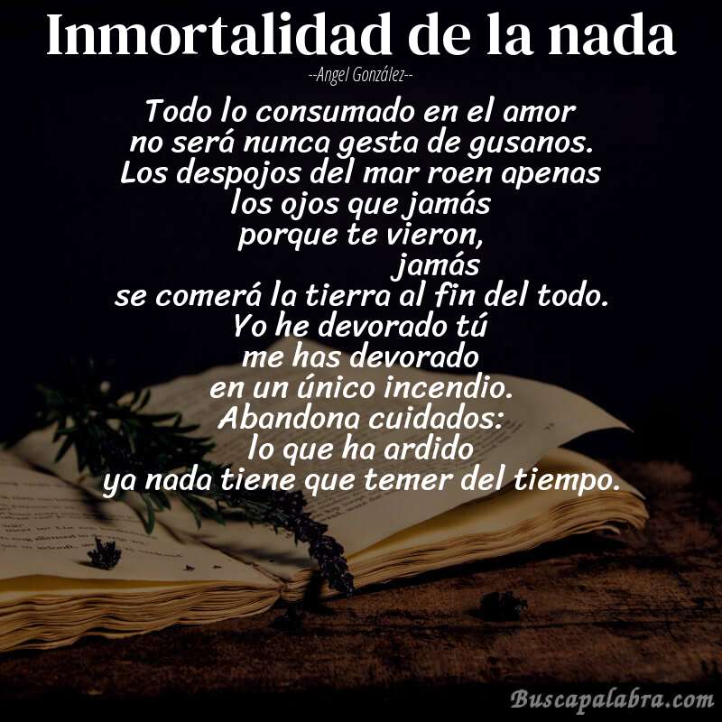 Poema inmortalidad de la nada de Angel González con fondo de libro