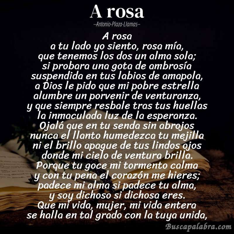 Poema a rosa de Antonio-Plaza-Llamas con fondo de libro