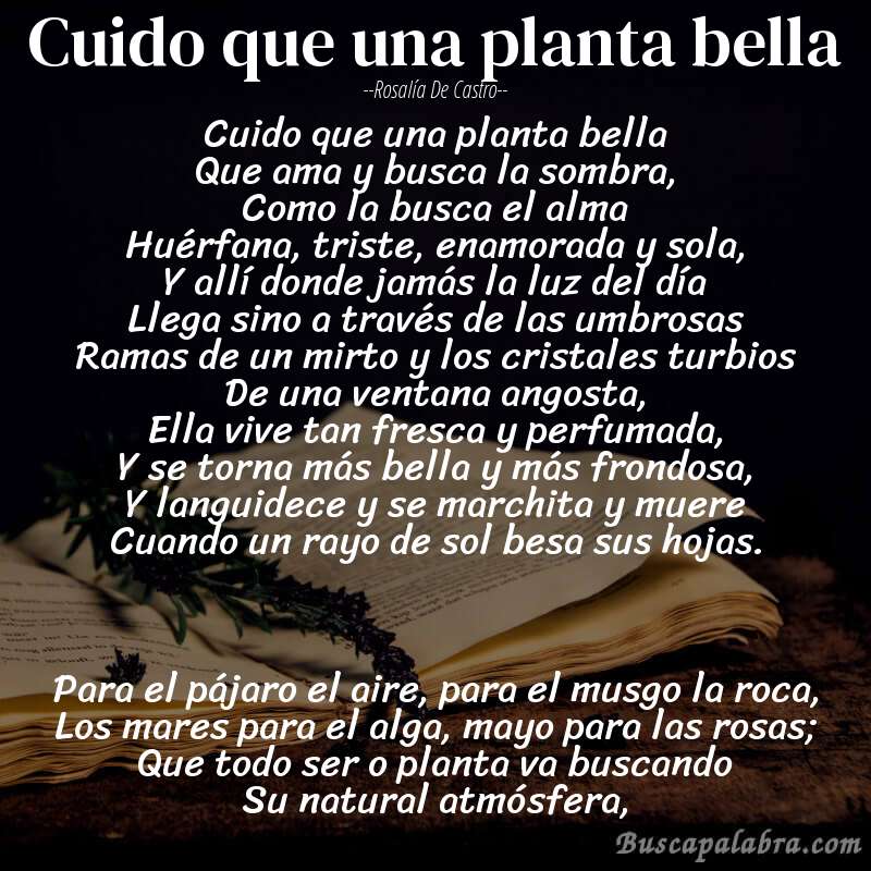 Poema Cuido que una planta bella de Rosalía de Castro con fondo de libro