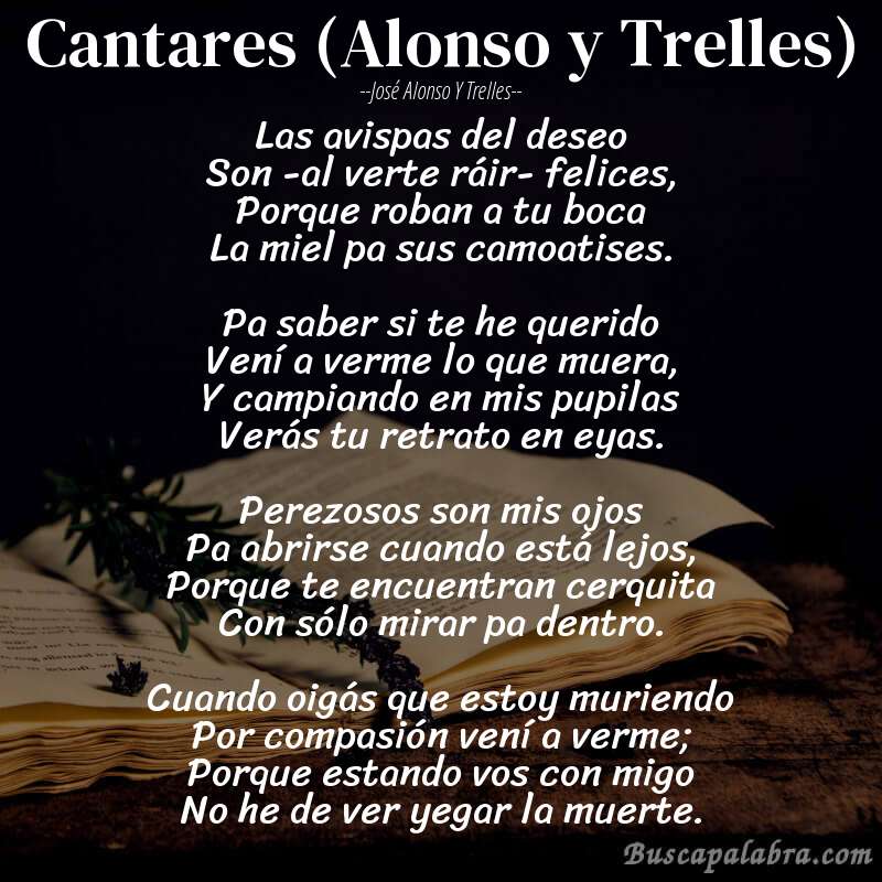 Poema Cantares (Alonso y Trelles) de José Alonso y Trelles con fondo de libro