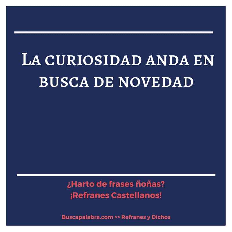 la curiosidad anda en busca de novedad - Refrán Español