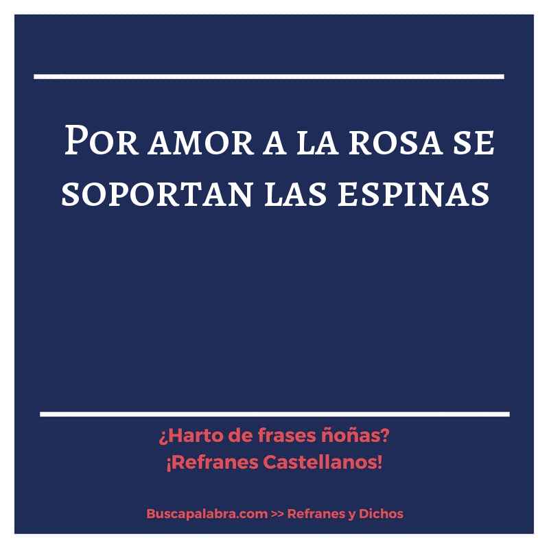 por amor a la rosa se soportan las espinas - Refrán Español