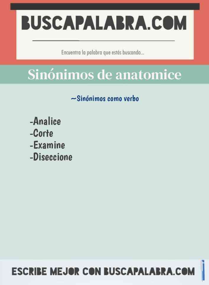 Sinónimo de anatomice