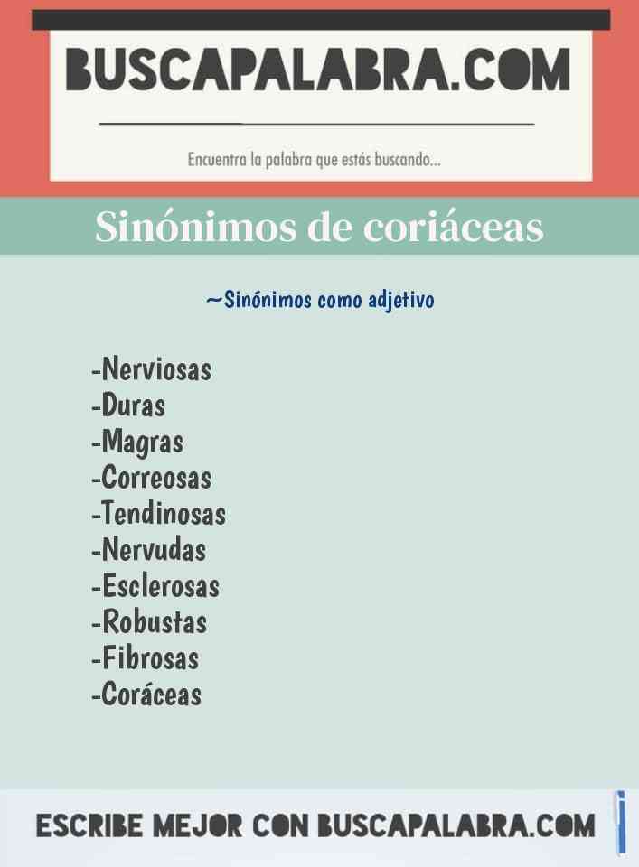 Sinónimo de coriáceas
